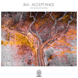 Rui - Acceptance