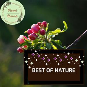 Best of Nature