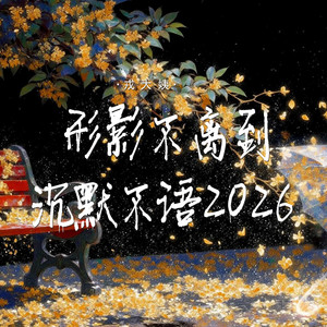 形影不离到沉默不语2026 (DJ版)