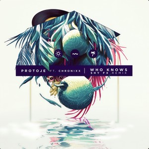 Who Knows (SHY FX Remix)