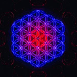 Melody of Your Frequency