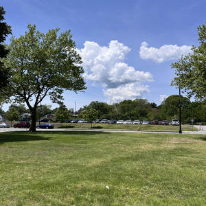 see me more (Explicit)