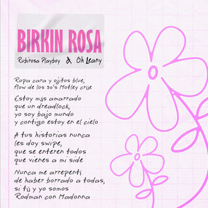 BIRKIN ROSA