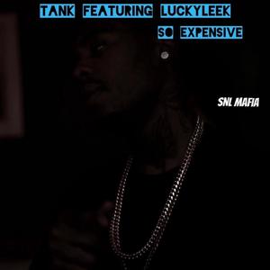 So Expensive (feat. LuckyLeek) (Explicit)