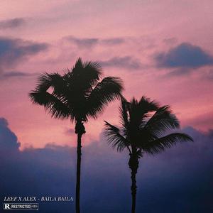 Baila Baila(feat. El alex) (Explicit)