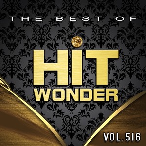 Hit Wonder: The Best of, Vol. 516