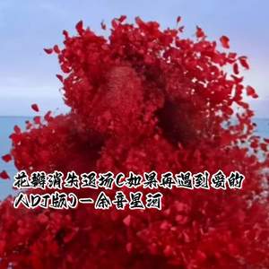 余音星河 - 花瓣消失退场 (如果再遇到爱的人DJ版)