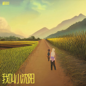 我叫小沈阳 (Live)