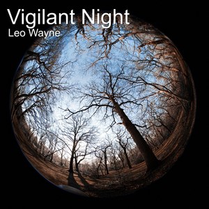 Vigilant Night