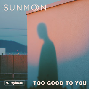 Too Good to You