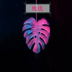 Saptune-Everytime (Remix|47wan remix)