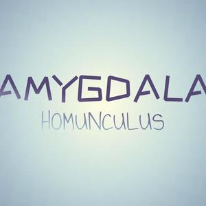 Amygdala Homunculus