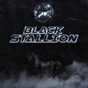 Black Stallion