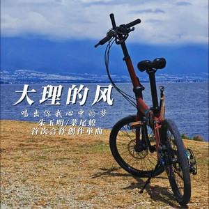 大理的风