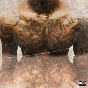 Motion (feat. T. Rizer & Cleraq) (Explicit)