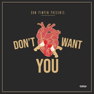 Don't Want You (Explicit)
