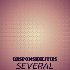 Responsibilities Several