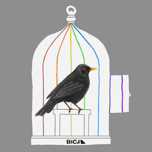 Deryn Du (FRMAND REMIX)