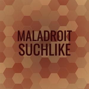 Maladroit Suchlike