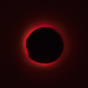 I Sing, Therefore I Am. (Explicit)