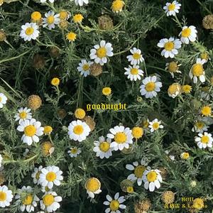 goodnight (feat.黃格雷)