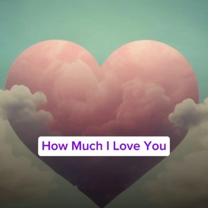 How Much I Love You