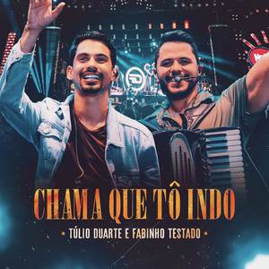 Chama Que Eu Tô Indo (Ao Vivo)