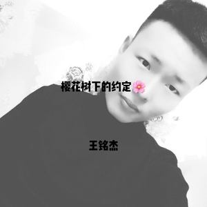 樱花树下的约定