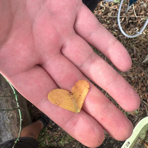 Anti-Capitalist (be so loving) (feat. Chaos In The CBD) (Explicit)