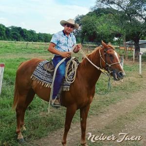 Mi Llanerita