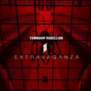 Wonderland (Township Rebellion Remix)