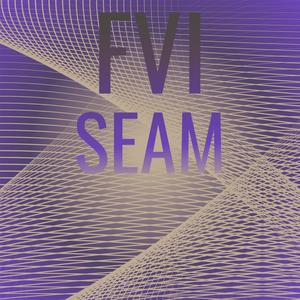 Fvi Seam