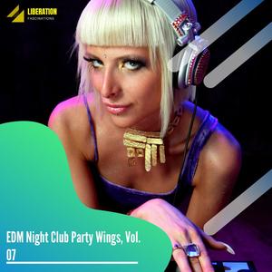 EDM Night Club Party Wings, Vol. 07