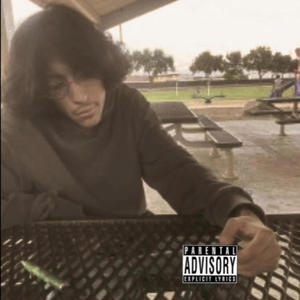 Premeditated (feat. Jay Cutfinger) (Explicit)