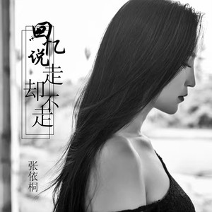 回忆说走却不走