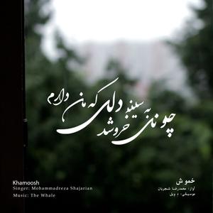 Khamoosh (Rework of M.R Shajarian)