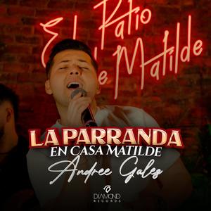 La Parranda En Casa Matilde