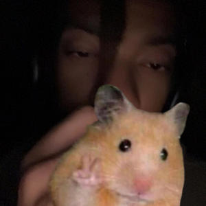 sore! (feat. ECLIIPSE & N4EEM) (Explicit)