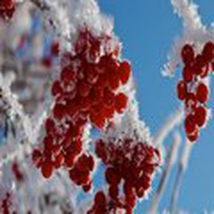 我为人人，人人为我