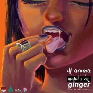 Ginger(feat. Malai)