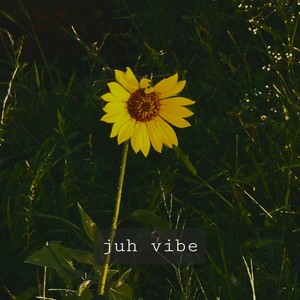 Juh Vibe (Explicit)