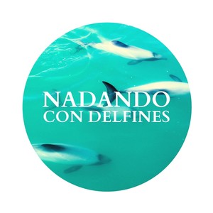 Nadando con Delfines