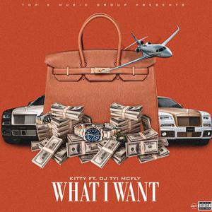 What I Want (feat. DJ Tyi McFly) [Explicit]