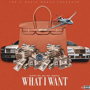 What I Want(feat. DJ Tyi McFly) (Explicit)