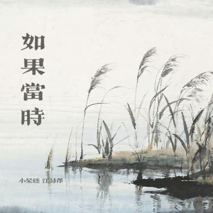 如果当时（你眉目如当年流转我心间）