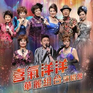 凤阁恩仇未了情 (Live)