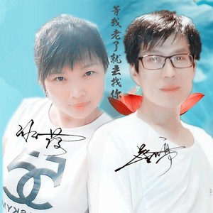 等我老了就去找你