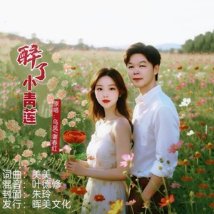 醉了小青莲 (对唱版)