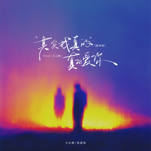 其实我真的真的爱你(摇滚版)(feat.王小帅)