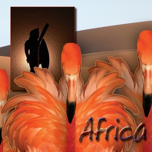 World Travel Series:  Africa Contempo